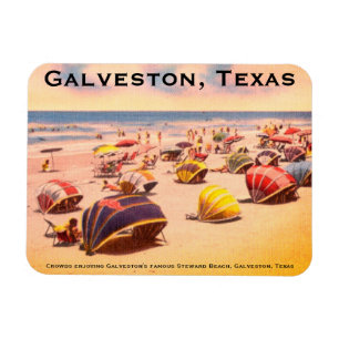 Magnet Flexible Steward Beach, Galveston, Texas