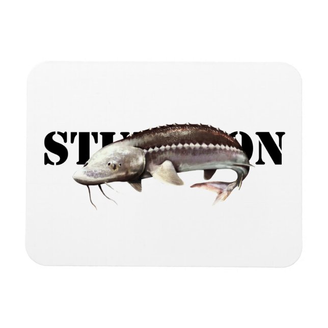Magnet Flexible Sturgeon (Horizontal)