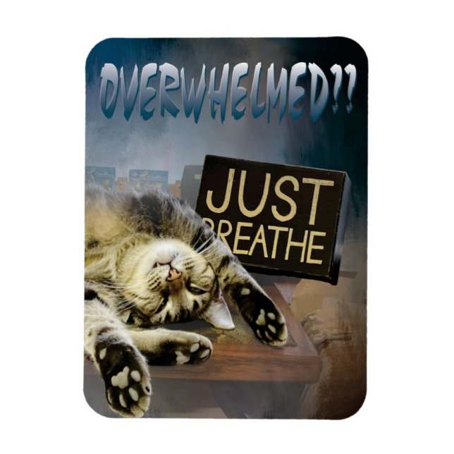 Magnet Flexible submergé ...respire juste l'aimant 23 (Vertical)