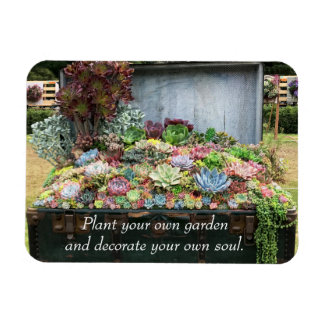 Magnet Flexible Succulents dans la poitrine au trésor