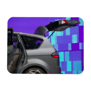 Magnet Flexible SUISSE, GENÈVE : 75e Genève Auto 10