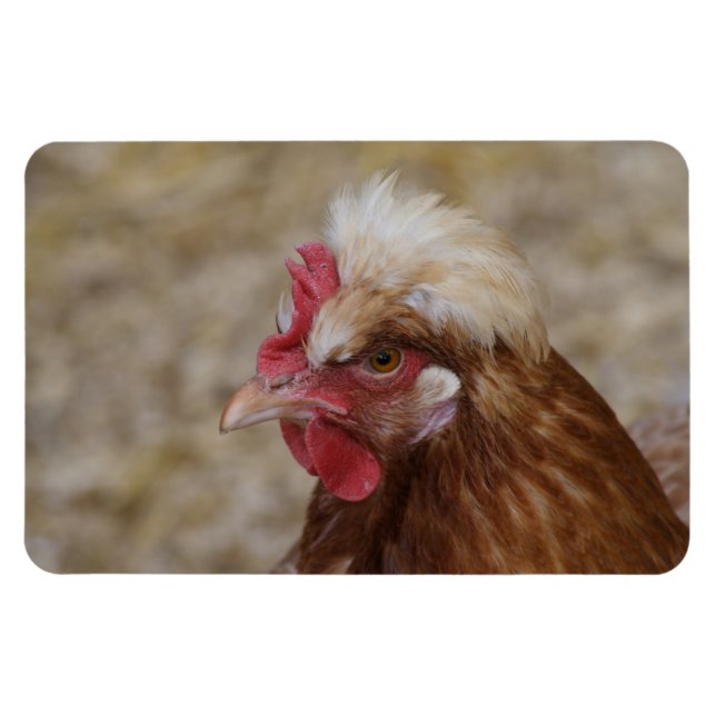 Magnet Flexible Sulmtaler Hen (Horizontal)