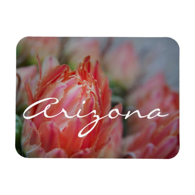 Magnet Flexible Summer blooms from Arizona (Horizontal)