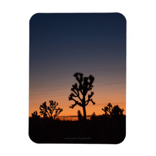 Magnet Flexible Sunset Joshua