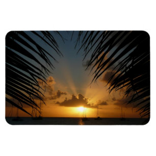 Magnet Flexible Sunset Through Palm Fronds