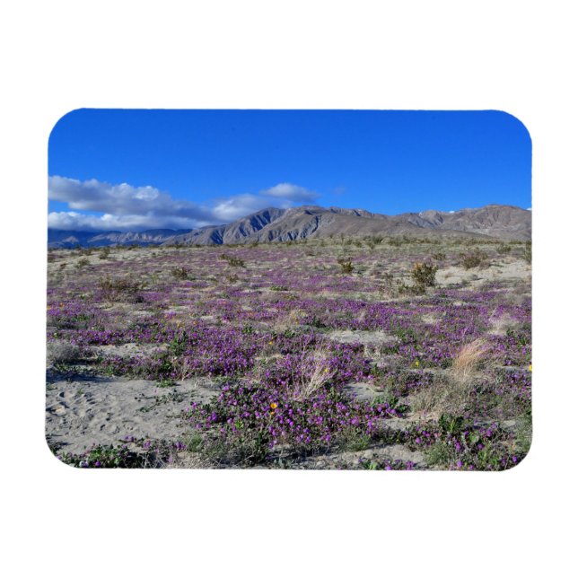 Magnet Flexible Super Bloom du désert 2019 Borrego Springs CA (Horizontal)