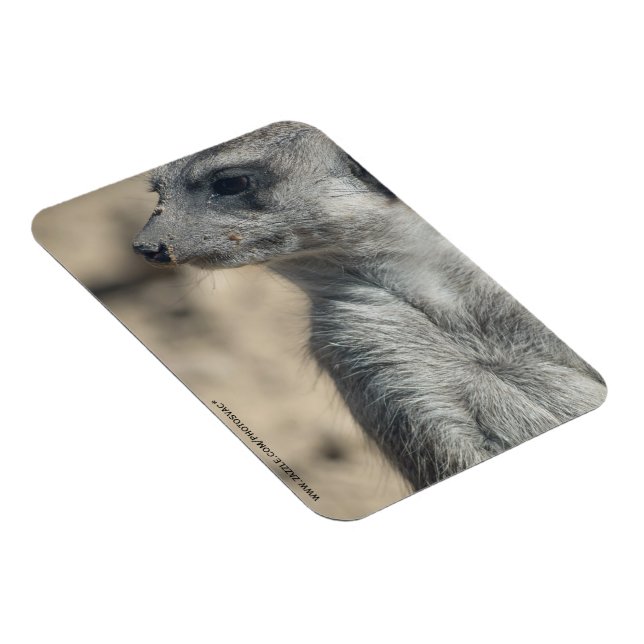 Magnet Flexible Suricate drôle (Côté Droit)