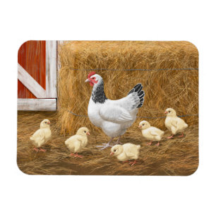 Magnet Flexible Sussex Chicken Mama Hen et Chicks