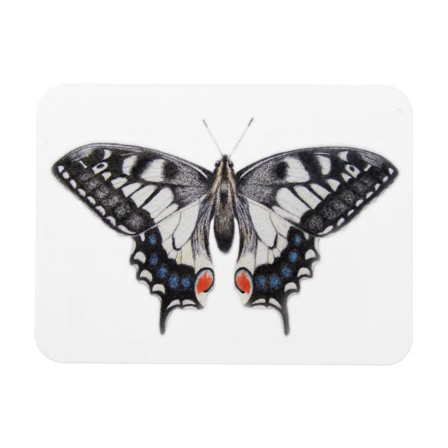 Magnet Flexible Swallowtail 2012 (Horizontal)