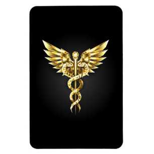 Magnet Flexible Symbole caducee polygonal or