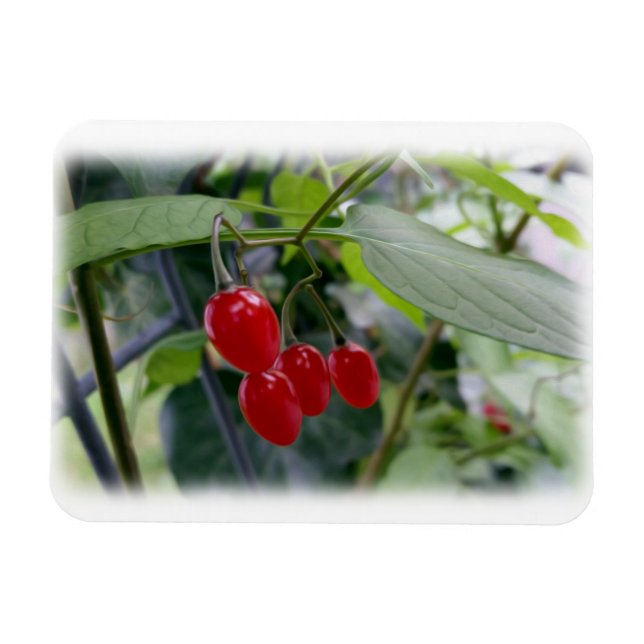 Magnet Flexible Taches rouges d'automne (Horizontal)