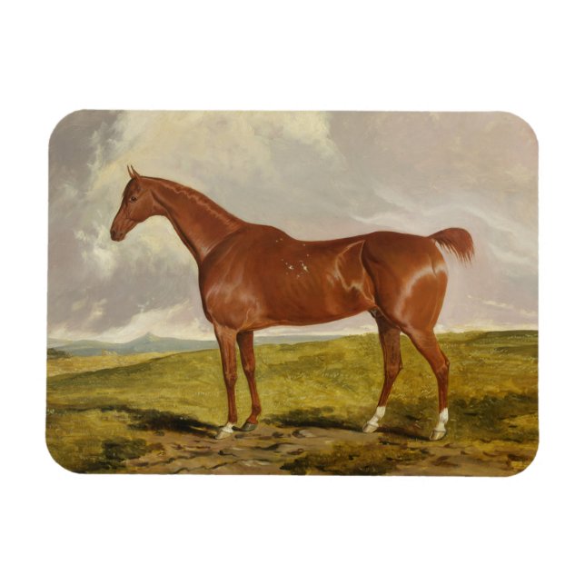 Magnet Flexible Talisman, vers 1840 (Horizontal)