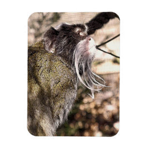 MAGNET FLEXIBLE TAMARIN MONKEY