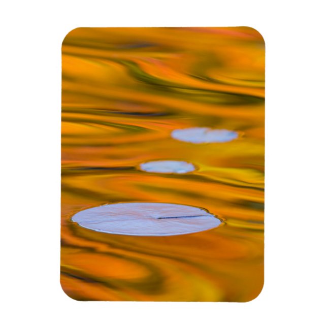 Magnet Flexible Tampon Lily sur l'eau orange, Canada (Vertical)