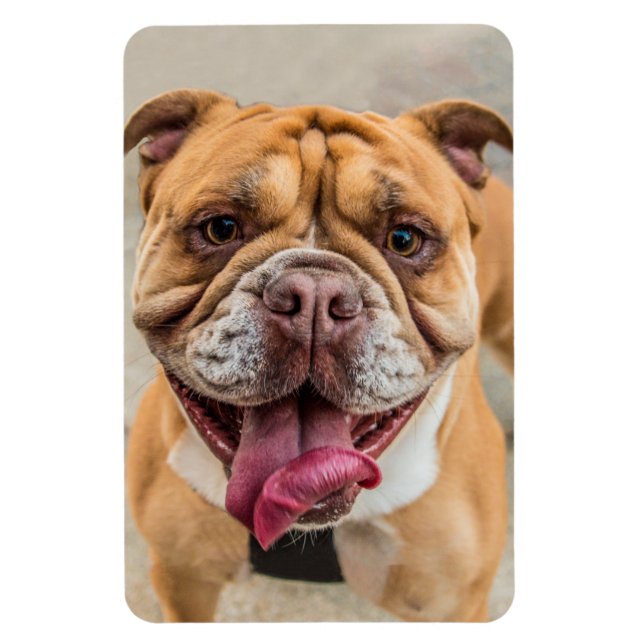 Magnet Flexible Tan Happy Dog Photo (Vertical)