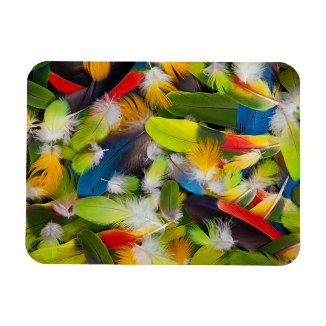 Magnet Flexible Tas de plumes colorées (Horizontal)
