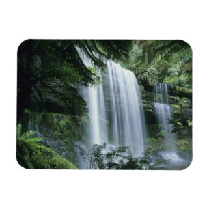 Magnet Flexible Tasmanie, Parc national du mont Field, Russell Fal