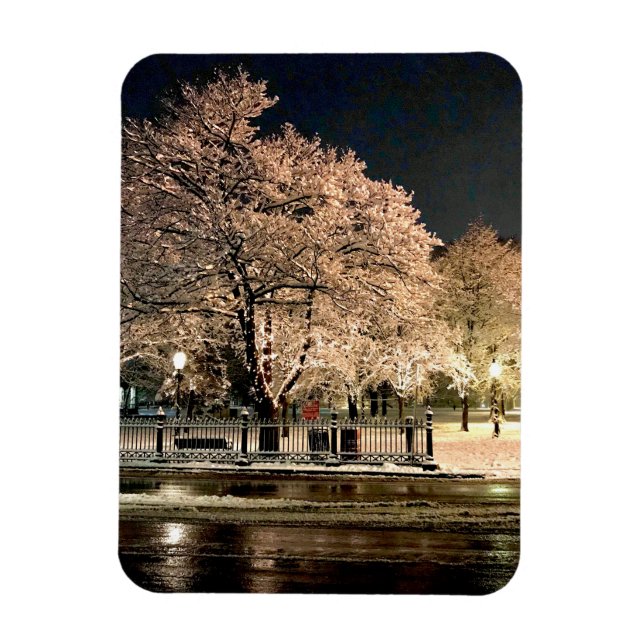 Magnet Flexible Tempête de neige nocturne Salem Common Massachuset (Vertical)