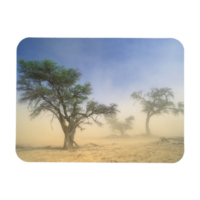 Magnet Flexible Tempête de sable dans le désert du Kalahari, Kgala (Horizontal)