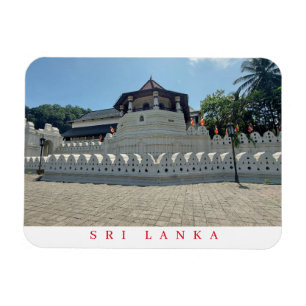 Magnet Flexible Temple Sri Lanka de la dent vue frigo aimant