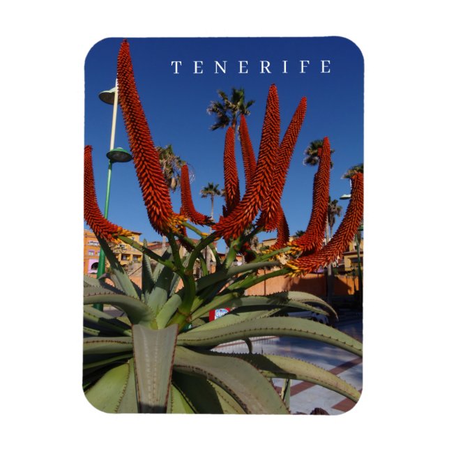 Magnet Flexible Tenerife Aloe Vera fleurs vue réfrigérateur aimant (Vertical)
