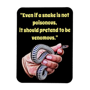 Magnet Flexible tenue à la main bébé serpent citation animaux rept