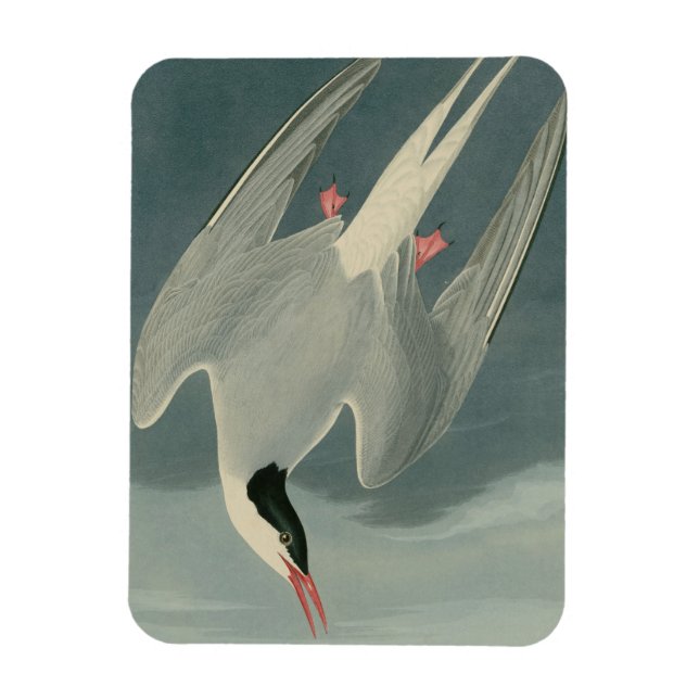Magnet Flexible Terne arctique (Vertical)