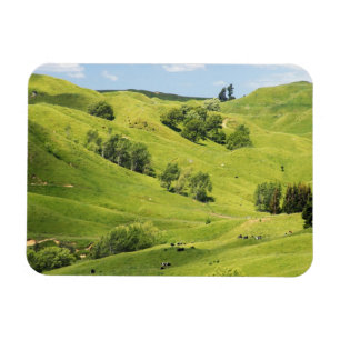 Magnet Flexible Terres agricoles près de Gisborne, Nouvelle-Zéland