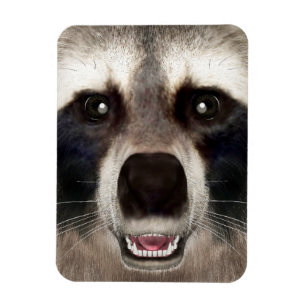 Magnet Flexible Tête de Raton Laveur Mignonne Portrait d'Animal Dr