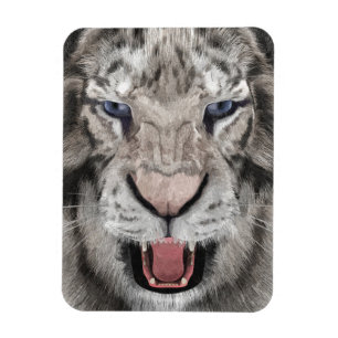 Magnet Flexible Tête de Tigre Blanc Esthétique Faunique
