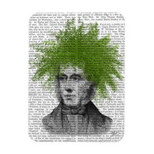 Magnet Flexible Tête du Plante Asparagus Fern