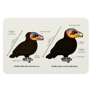 Magnet Flexible Tête jaune Grand v Petit