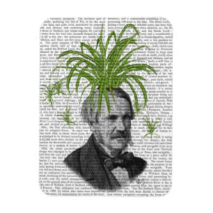 Magnet Flexible Tête Plante Spider