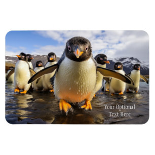 Magnet Flexible Texte personnalisé Cool Penguins