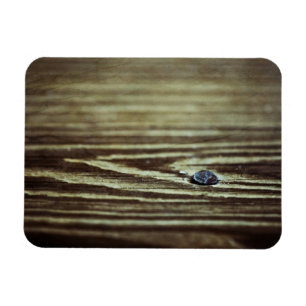 Magnet Flexible Texture du grain de bois par Shirley Taylor