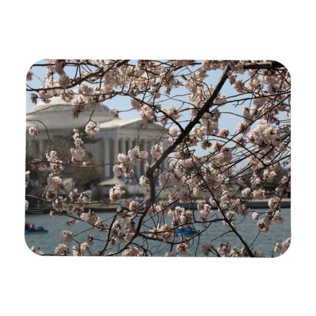 Magnet Flexible The Cherry Blossoms In Bloom In Washington (Horizontal)