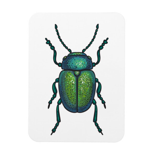 Magnet Flexible The tansy beetle (Vertical)