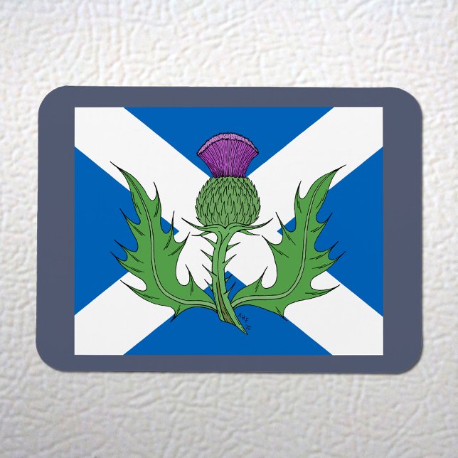 Magnet Flexible Thistle écossais et sel (Scottish Thistle and Saltire Flexi Magnet on White Fridge)