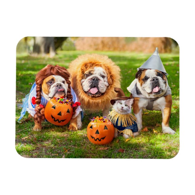 Magnet Flexible Three Bulldogs in Costumes (Horizontal)