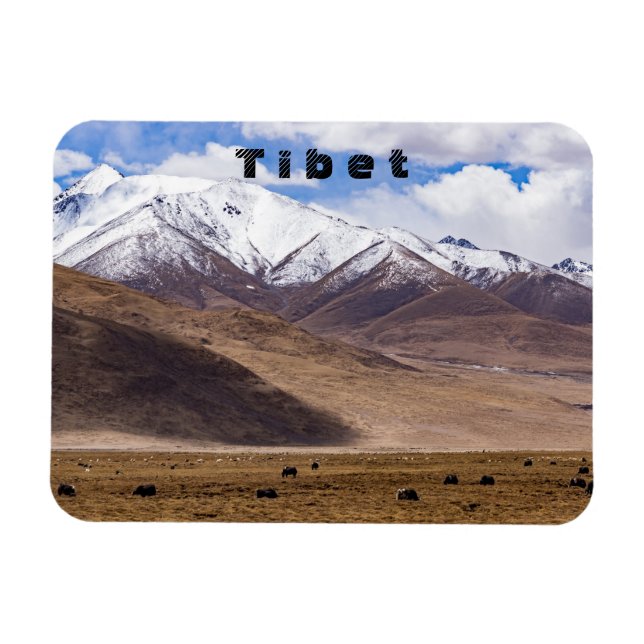 Magnet Flexible Tibet - Paysage de montagne avec yaks (Horizontal)