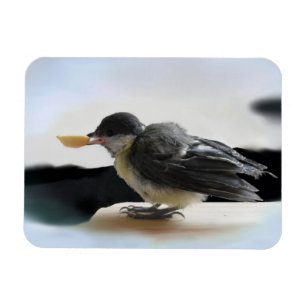Magnet Flexible Tidi my Bird le Parus Major
