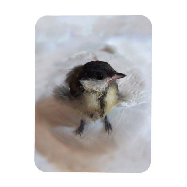 Magnet Flexible Tidi my Bird le Parus Major (Vertical)