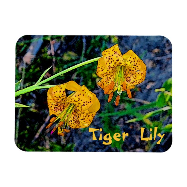 Magnet Flexible Tiger Lily (Horizontal)
