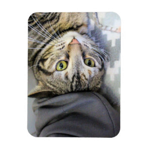 Magnet Flexible Tigre