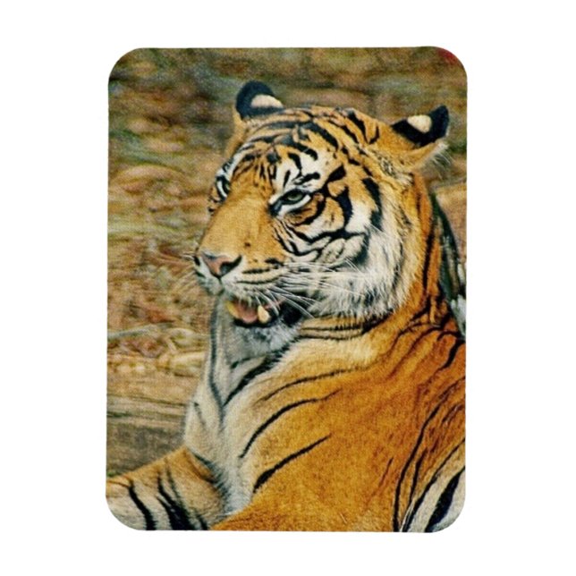 Magnet Flexible Tigre (Vertical)