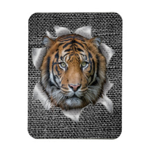 Magnet Flexible Tigre du Bengale sauvage
