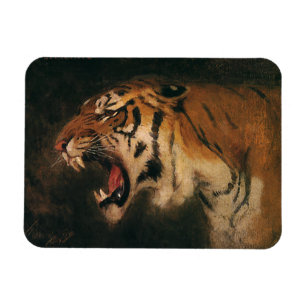 Magnet Flexible Tigre du Bengale vintage Grosse chatte Gravure, an