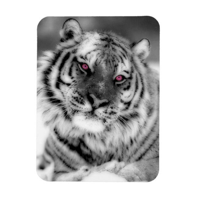 Magnet Flexible Tigre observé par rose (Vertical)