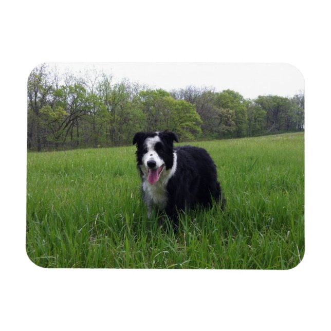 Magnet Flexible Toby (Horizontal)