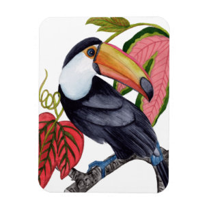 Magnet Flexible Toco Toucan